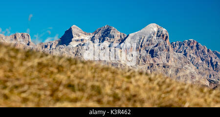 Die tofane Gruppe mit Monte Cristallo aus der Wiesen von den Falzarego Pass in den herbstlichen Farben Dolomiten Venetien Italien Europa Stockfoto