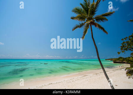 Den Strand und die Palmen in Jambiani, Sansibar, Tansania, Afrika Stockfoto