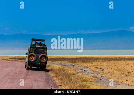 Ngorongoro Nationalpark, Tansania, Afrika Stockfoto