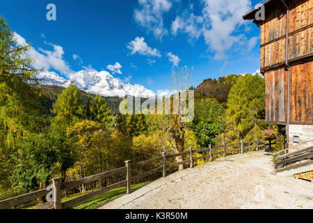 Blue Sky auf die bunten Wälder im Herbst von schneebedeckten Gipfeln Val di Zoldo Dolomiten Provinz Belluno Venetien Italien Europa gerahmt Stockfoto