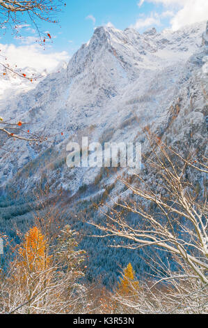 Somadida Reservierung, Naturpark, Auronzo, Cadore, Marmarole, Dolomiten, Alpen, Venetien, Italien Stockfoto