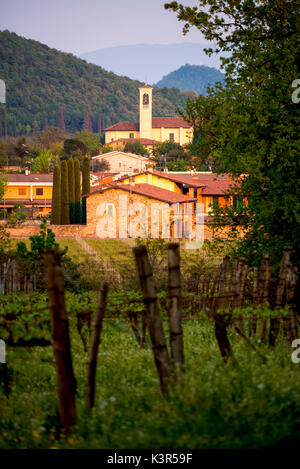 Camignone bei Sonnenuntergang in der Franciacorta, Provinz Brescia, Lombardei, Italien, Europa. Stockfoto