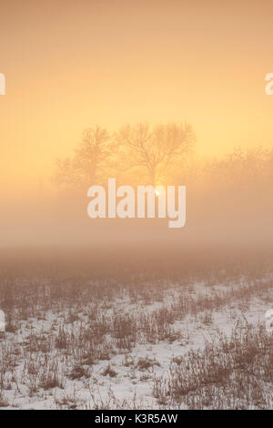 Po River Park, Provinz Alessandria, Piemont, Italien, Europa. Stockfoto