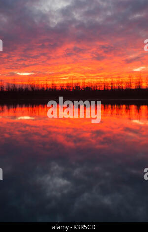 Po River Park, Provinz Alessandria, Piemont, Italien, Europa. Stockfoto