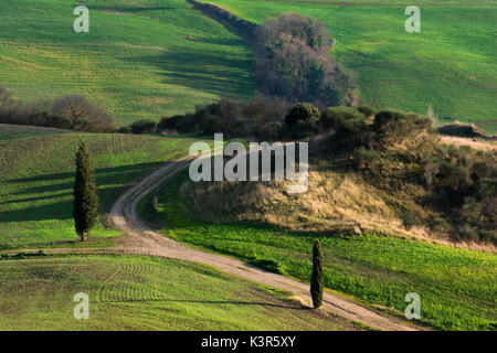 Val d'Orcia, in der Provinz von Siena, Italien, Toskana. Stockfoto