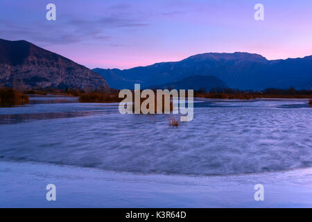 Naturpark, Torbiere del Sebino, Provinz Brescia, Lombardei, Italien Stockfoto