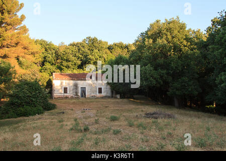 Gargano, Apulien, Italien. Umbra, alten Bauernhof in der Manatecco Wälder. Stockfoto