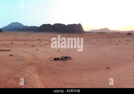 Sonnenuntergang in der Wüste Wadi Rum, Jordanien, mit lokalen Beduinen und Kamelen auf Vorder Stockfoto