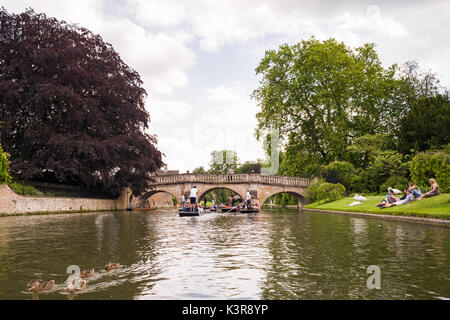 Menschen stochern auf dem Fluss Cam von Clare College Universität im Sommer, Cambridge, Großbritannien Stockfoto