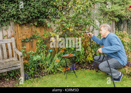 Ein älterer Mann Bewässerung seinen Garten Pflanzen, Anfang Herbst, mit Schlauch und Sprühvorrichtung. Langtoft, Lincolnshire, England, UK. Stockfoto