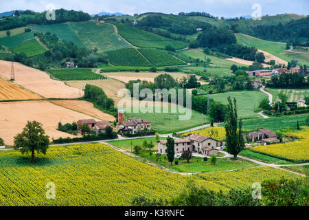 Castell'Arquato (Piacenza, Emilia Romagna, Italien), Panoramablick über die Landschaft im ländlichen Raum Stockfoto