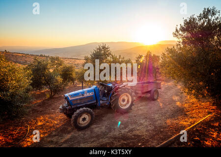 Sonnenuntergang auf einer Farm im Norden von Jordanien mit einem alten Traktor in den Vordergrund. Stockfoto