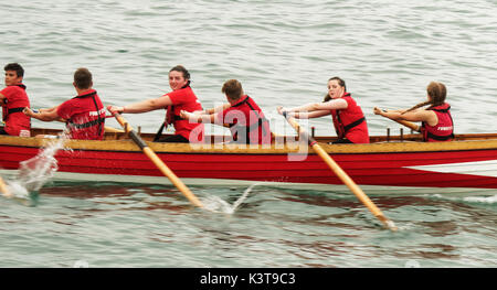 Newquay, Cornwall, England. 03 Sep, 2017. Erbe Gig rudern Damen Meisterschaften, Newquay, Cornwall, England. Credit: Robert Taylor/Alamy leben Nachrichten Stockfoto