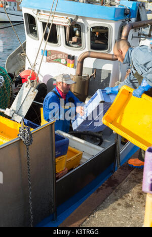 Fischer laden Boxen für storgae der Fisch auf dem Boot im Hafen von Vitte auf Hiddensee, bevor er für Angeln, Mecklenburg-Vorpommern, Deutschland Stockfoto