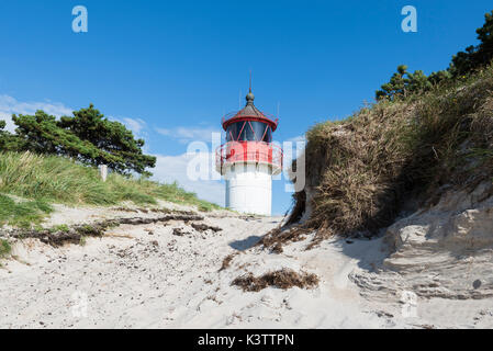 Der Leuchtturm Gellen hinter den Dünen am Strand der Insel Hiddensee, Mecklenburg-Vorpommern, Deutschland Stockfoto