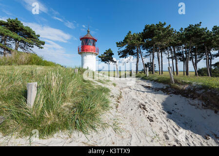 Der Leuchtturm Gellen hinter den Dünen am Strand der Insel Hiddensee, Mecklenburg-Vorpommern, Deutschland Stockfoto