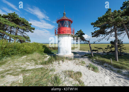 Der Leuchtturm Gellen hinter den Dünen am Strand der Insel Hiddensee, Mecklenburg-Vorpommern, Deutschland Stockfoto