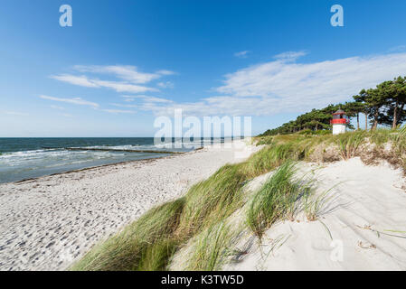 Der Leuchtturm Gellen hinter den Dünen am Strand der Insel Hiddensee, Mecklenburg-Vorpommern, Deutschland Stockfoto