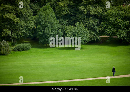 Bäume und Rasenflächen, in öffentliche Grünfläche Avenham und Miller Parks in Preston, Lancashire, Stockfoto