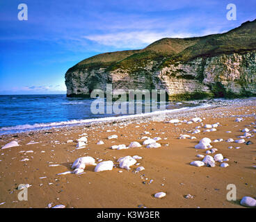 Eine Ansicht von Flamborough Head entlang der Küste von East Yorkshire, Großbritannien Stockfoto