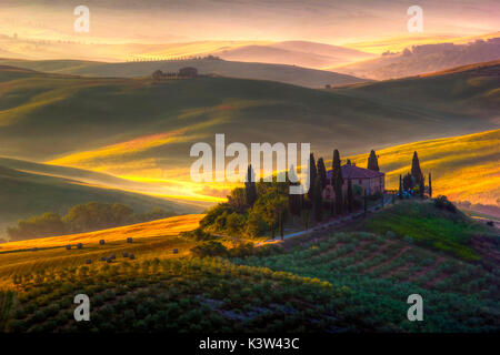 Ein wunderschönes Bauernhaus, umgeben von Zypressen und den goldenen Hügel der Val d'Orcia Stockfoto