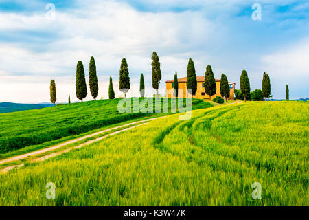 Val d'Orcia, Toskana, Italien. Ein einsames Bauernhaus mit Zypressen stehen in der Linie im Vordergrund. Stockfoto