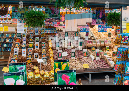 Die Niederlande, Europa, Blumenmarkt in Amsterdam Stockfoto