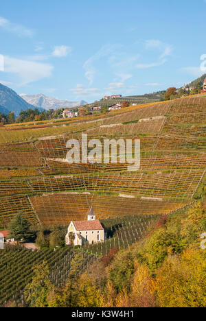 Italien, Südtirol, Meran, Burg und Weinberge Stockfoto