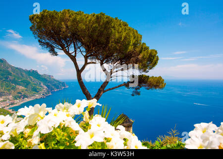 Ravello, Amalfiküste, Sorrent, Italien. Blick auf die Küste von Villa Rufolo Stockfoto