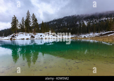 Tannenbäume werden in den See während eines regnerischen Tag wider. Caumasee, Flims, Landquart, Graubünden, Schweiz, Europa Stockfoto