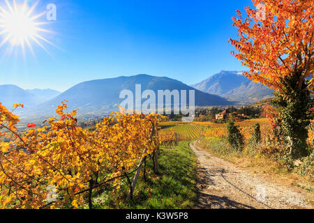 Ein Oad zwischen Weinbergen führt zu Ramírez Schloss. Ramez Schloss, Meran, Vinschgau, Alto Adige/Südtirol, Italien, Europa Stockfoto