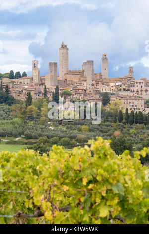 Historisches Zentrum von San Gimignano von Weinberge im Herbst. San Gimignano, Elsa Valley, Provinz Siena, Toskana, Italien, Europa Stockfoto