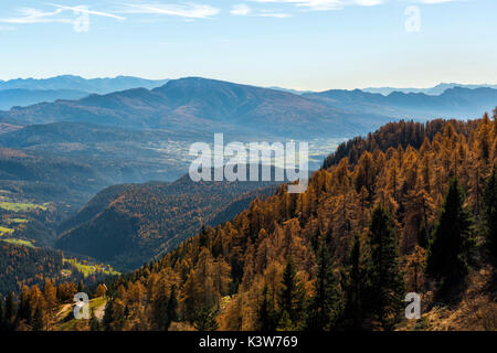 Italien, Trentino Alto Adige, Blick auf das Tal von Luco Berg. Stockfoto