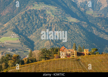 Italien, Südtirol, Meran, Burg und Weinberge Stockfoto