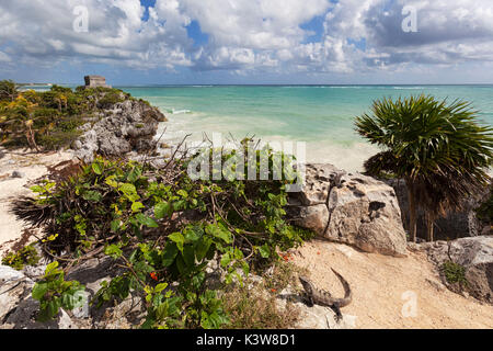 Gott der Winde Tempel, Tulum archäologische Stätte, Tulum, Quintana Roo, Mexiko. Stockfoto