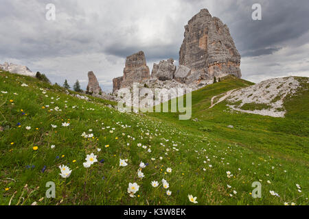 Cinque Torri, Ampezzaner Dolomiten, Cortina d'Ampezzo, Belluno, Venetien, Italien. Stockfoto