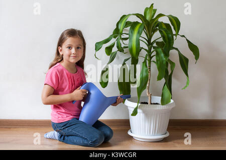 Süße kleine sechsjährige Mädchen Bewässerung von Gießkanne in der Hand Werk Palm Blau Bewässerung Indoor kann. Pflege für Pflanzen. Stockfoto