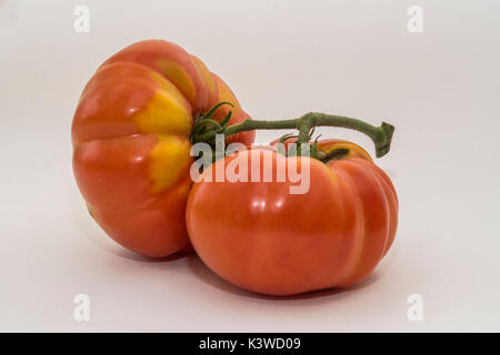 Rindfleisch Tomaten Brandy Wein, ein großes Erbe. Zwei große Tomaten. Stockfoto