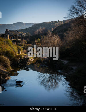 Hund bekommt in den See und die Ruinen meiner Reflexion Foto aber eigentlich mag ich es am besten. Schönes Haus in den Bergen in La Cumbrecita, Cordoba, Argentinien Stockfoto