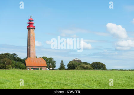 Der Leuchtturm Flügge am Flügger Strand auf der Insel Fehmarn im Sommer, Ostsee, Schleswig-Holstein, Deutschland Stockfoto