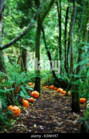 Kürbis Spaziergang im Wald, Jack-o-lanterns entlang des Pfades - Bainbridge Island, WA USA Stockfoto