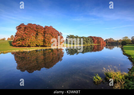 Herbstbäume auf dem Gelände des Blenheim Palace, Oxfordshire, England Stockfoto