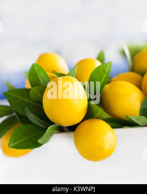Bündel von frischen Zitronen und Blätter Stockfoto