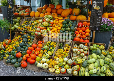 Farbenfrohe Kürbisse, pumkins und Squash außerhalb shjop in Oetz, Tirol, Österreich Stockfoto