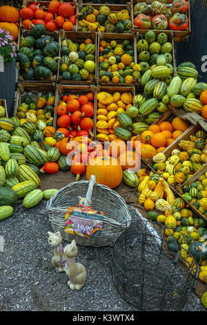 Farbenfrohe Kürbisse, pumkins und Squash außerhalb shjop in Oetz, Tirol, Österreich Stockfoto