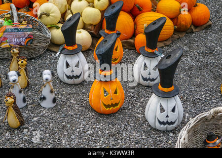 Farbenfrohe Kürbisse, pumkins und Squash außerhalb shjop in Oetz, Tirol, Österreich Stockfoto