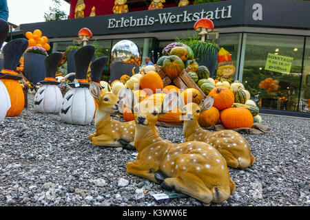 Farbenfrohe Kürbisse, pumkins und Squash außerhalb shjop in Oetz, Tirol, Österreich Stockfoto