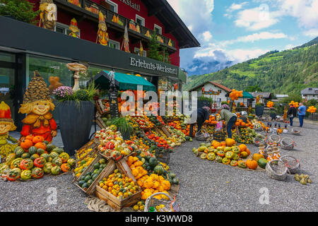 Farbenfrohe Kürbisse, pumkins und Squash außerhalb shjop in Oetz, Tirol, Österreich Stockfoto