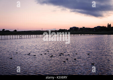 Landschaft Sonnenuntergang über einem See, auf der Enten schwimmen. Stockfoto