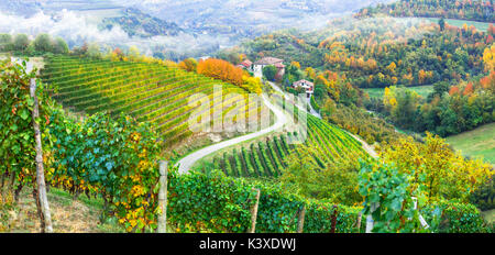 Erstaunlich weite Felder der bunten Weinberge im Piemont - norhen Rebsorten Region in Italien Stockfoto